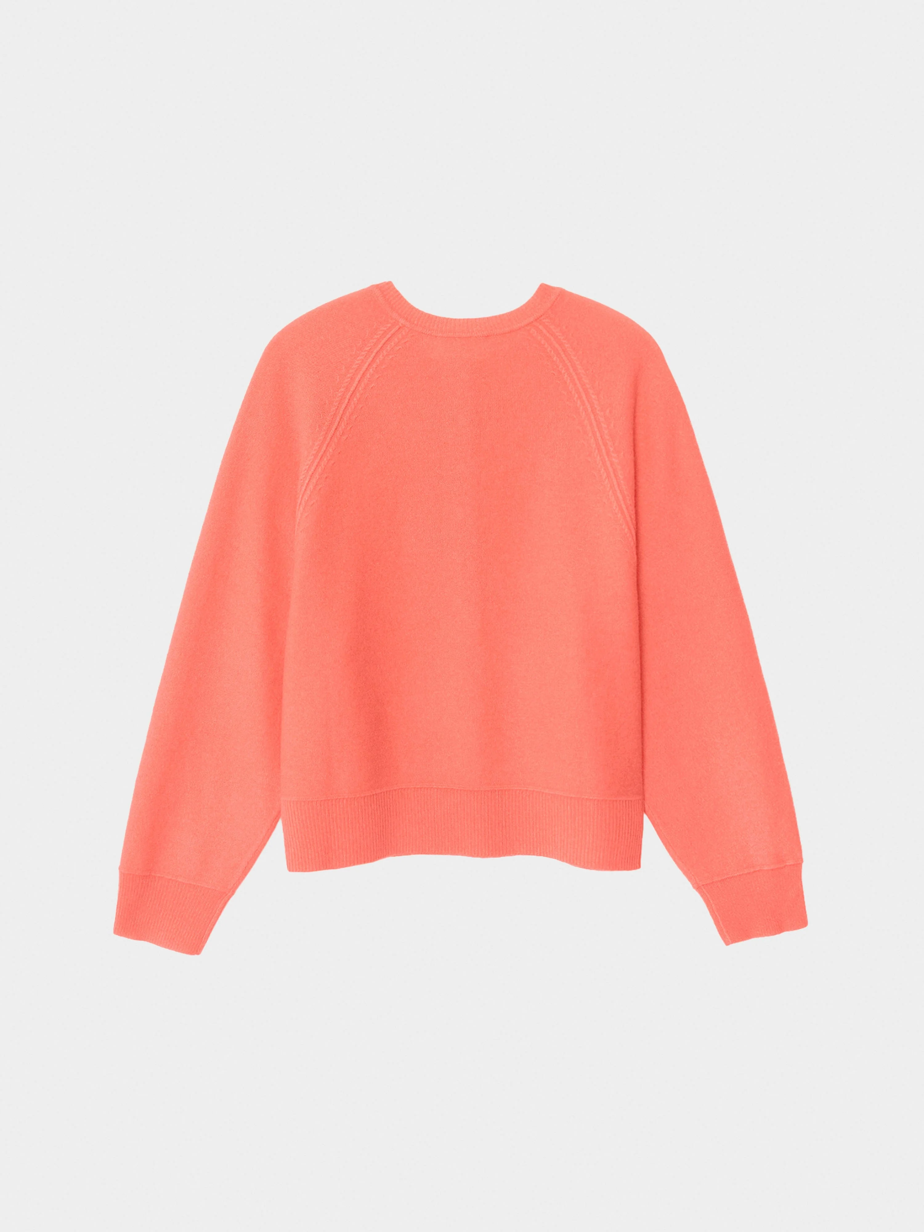 Coral Pink Griffin Sweater - Image 4